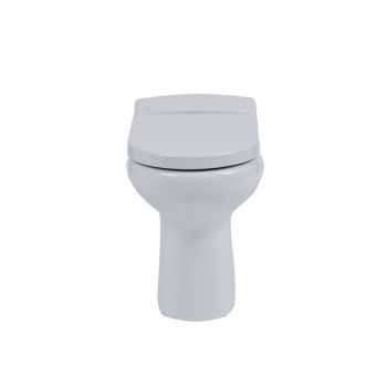 Compact Rimless Back-to-Wall Toilet with Soft-Close Seat