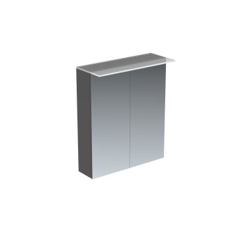 Saneux AUSTEN 60cm 2-Door Cabinet  Illuminated - Matte Iron Grey